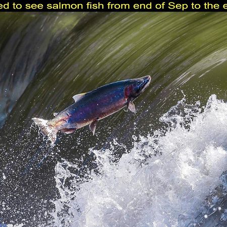 טורונטו Salmon Magwood Guesthouse מראה חיצוני תמונה